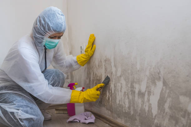 Best Crawl Space Mold Removal  in Lakeside, MT