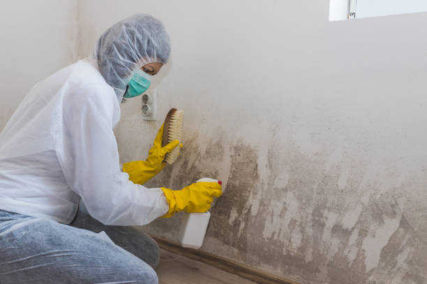 Best Mold Testing  in Lakeside, MT
