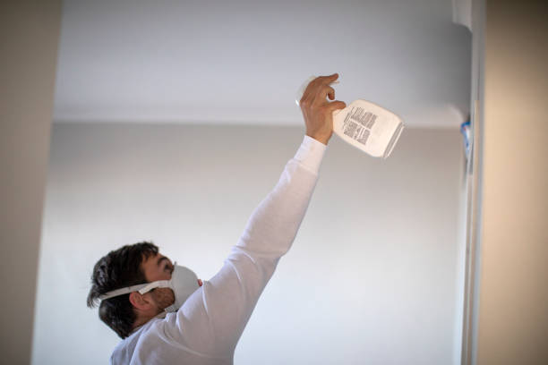 Best Mold Cleaning Services  in Lakeside, MT