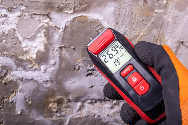 Best Certified Mold Removal  in Lakeside, MT